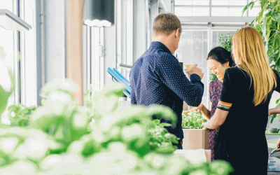 Qualité de vie au travail : ces start-up qui veulent changer la donne